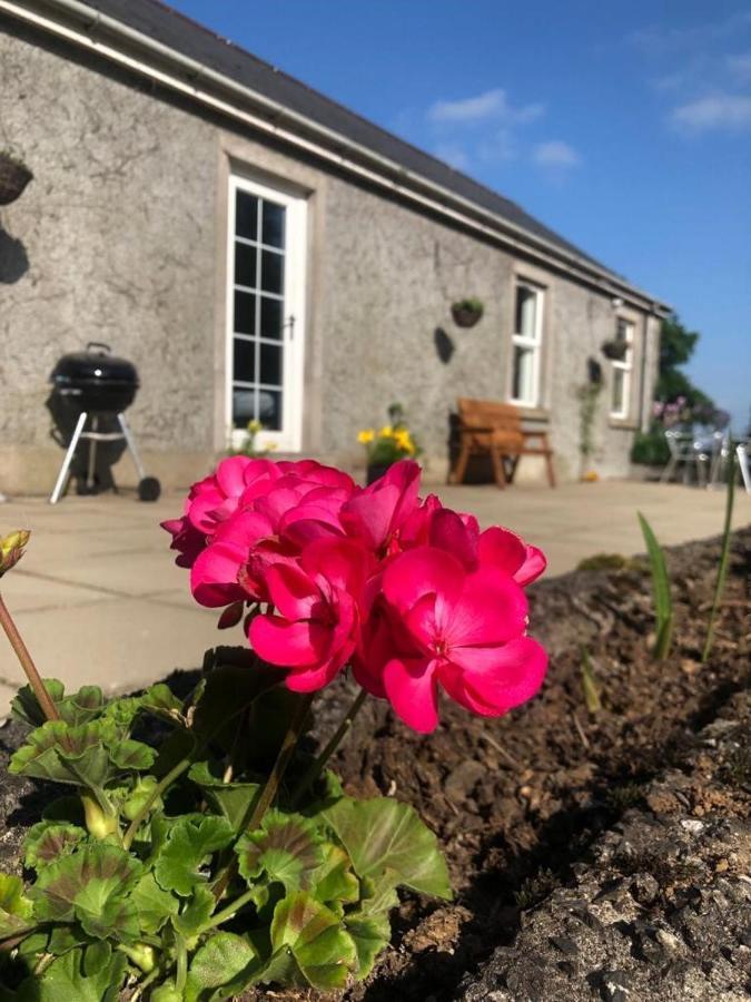 Ballyconnelly Cottages, Galgorm Area Cullybackey Exteriör bild