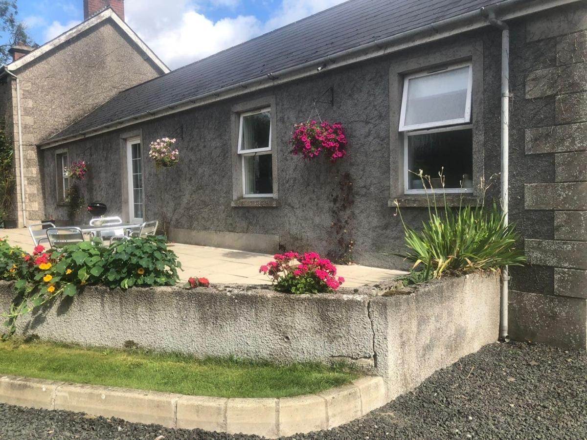 Ballyconnelly Cottages, Galgorm Area Cullybackey Exteriör bild